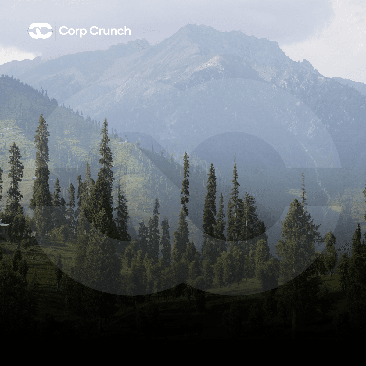 Rising India-Pakistan Tensions Trigger Market Crash and International Concern