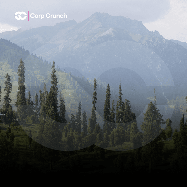 Rising India-Pakistan Tensions Trigger Market Crash and International Concern